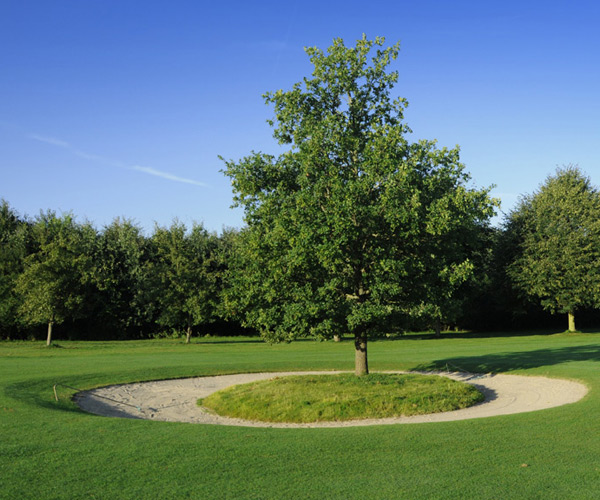 Golfplatz Brodauer Mühle.